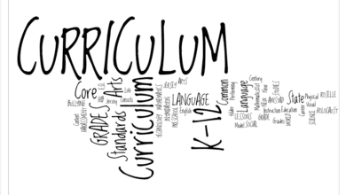 curriculum slider