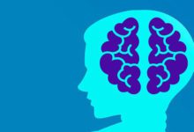 نظرية العبء المعرفي ( أو نظرية الحمل المعرفي ) Cognitive Load Theory 2 brain education 660x330