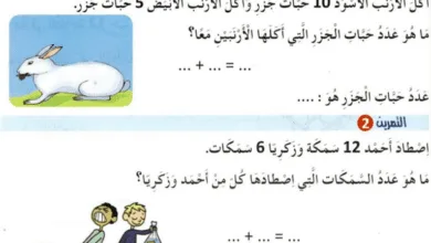 Screenshot 2020 02 29 أنشطة متعددة في الرياضيات pdf