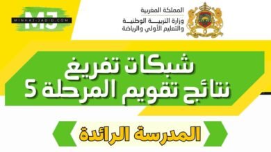تحميل شبكات تفريغ كفايات المدرسة الرائدة 2026 (المرحلة الخامسة) 1 شبكات تفريغ نقط المراقبة المستمرة المرحلة 5